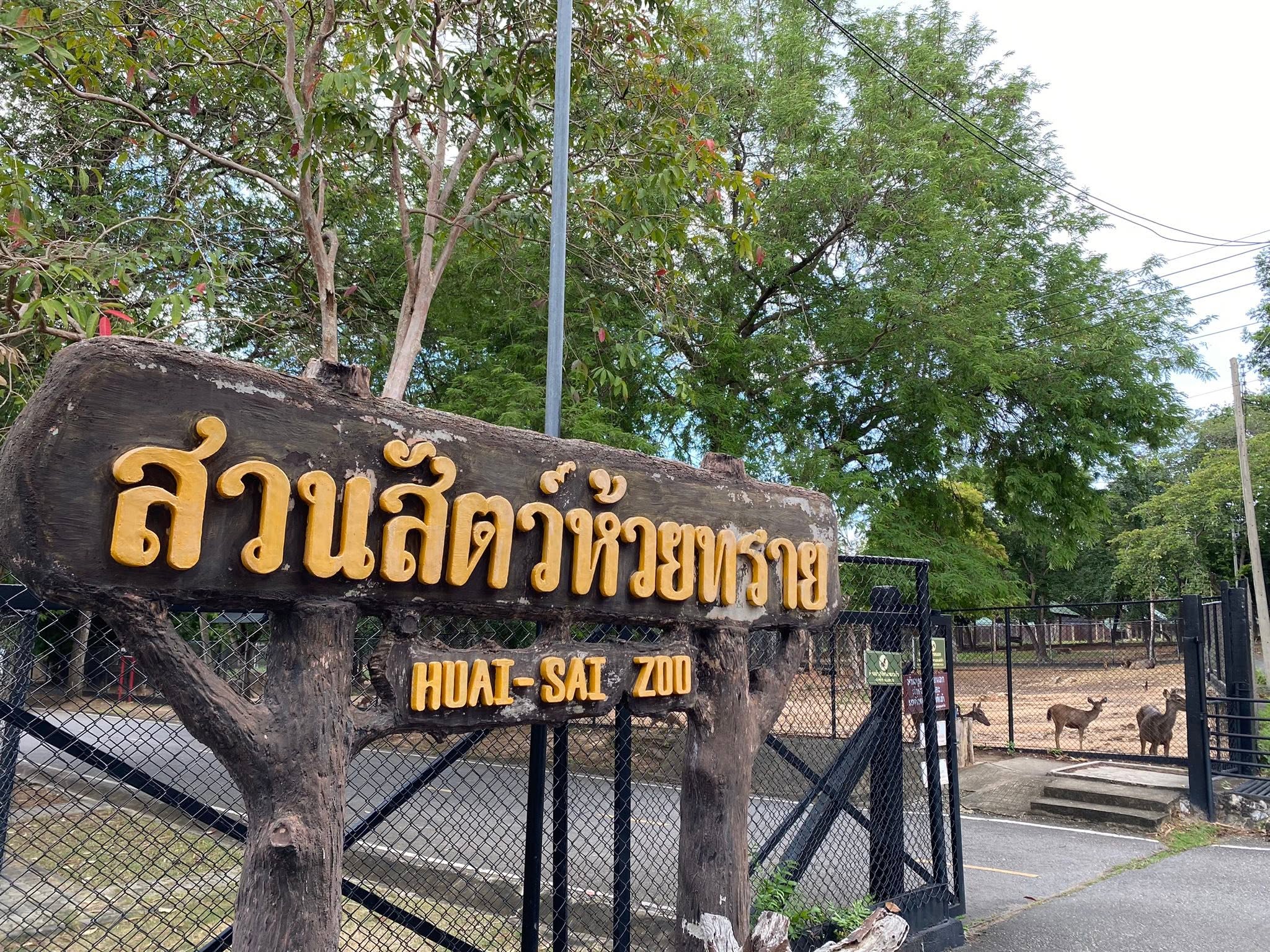 Center Entrance